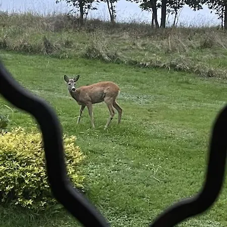Roubenka Na Vrsku Prázdninový dům Stare Krecany